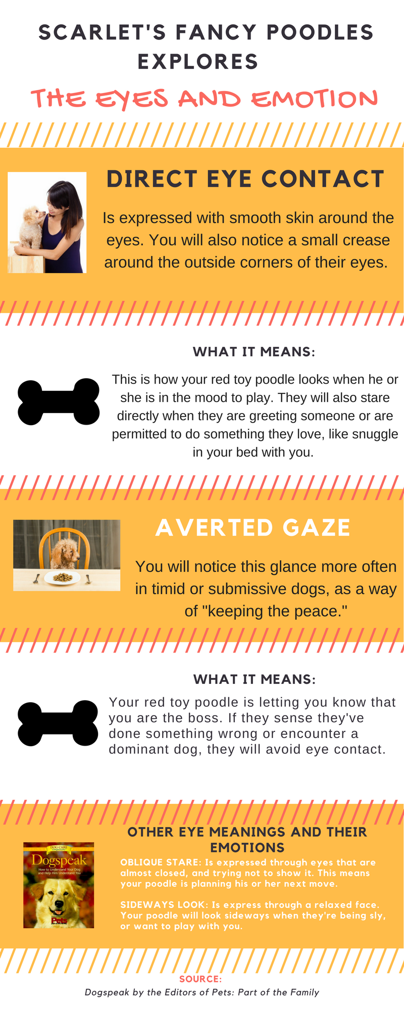 Infographic: Why Your Poodle is Giving You the Puppy Eyes