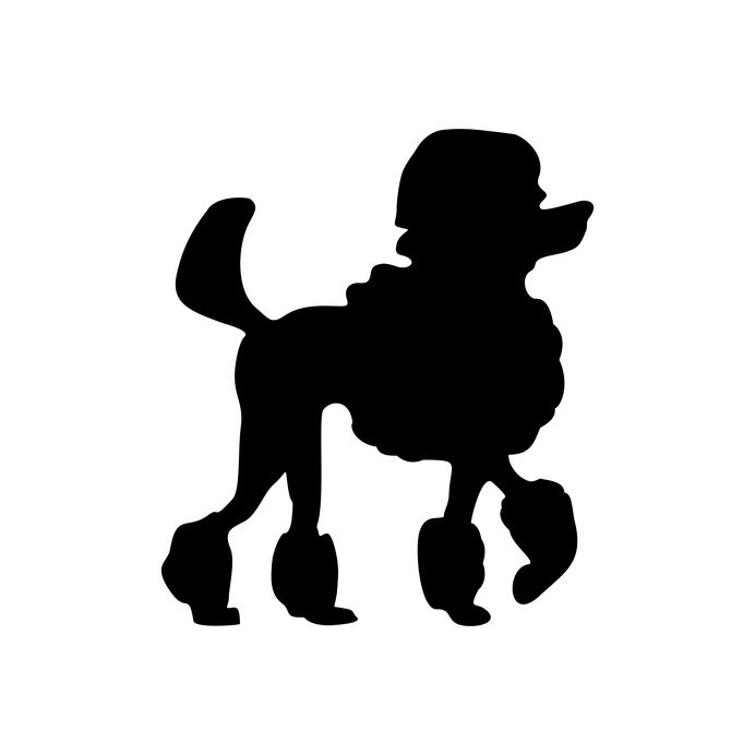 Poodle icon. Dog standing silhouette. Vector black flat illustration isolated on white background.