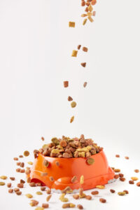 Dog food pouring into an overfilled bowl