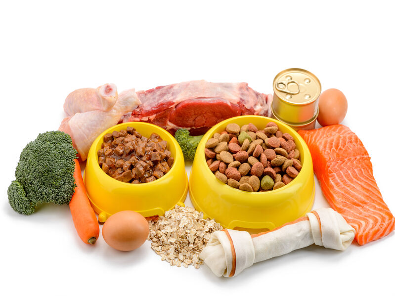image contains two bowls of dog food surrounded by raw beef, raw chicken, raw salmon, a bone, an egg, and vegetables
