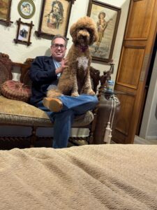 Scarlets Adult Poodle Client Pic For Home Page
